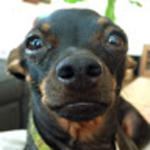 Meet your Posher, Jenni - Picture 1 of 1